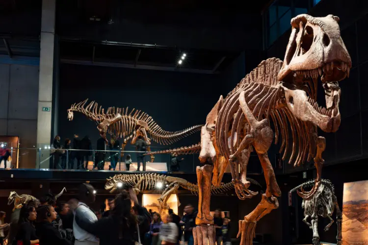 מוזיאון המדע-דינוזאורים, יער טרופי וניסויים אינטראקטיביים שהופכים מדע להרפתקה.-WeWalk Tours