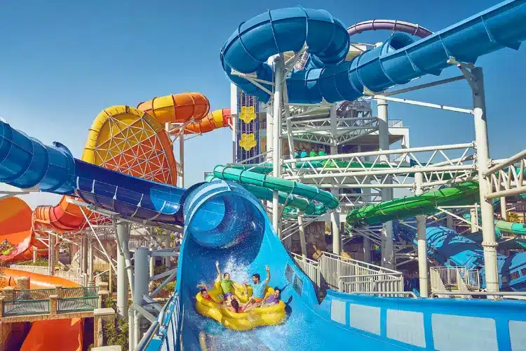 פארק עולם המים-פארק מים ענק עם אקסטרים, בריכות ואטרקציות שמרעננות כל יום חם.-WeWalk Tours